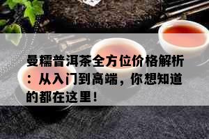 曼糯普洱茶全方位价格解析：从入门到高端，你想知道的都在这里！