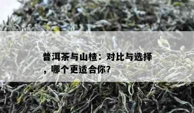 普洱茶与山楂：对比与选择，哪个更适合你？