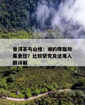 普洱茶与山楂：谁的降脂效果更佳？比较研究及适用人群详解