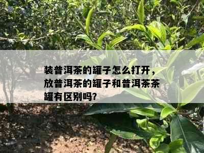 装普洱茶的罐子怎么打开，放普洱茶的罐子和普洱茶茶罐有区别吗？