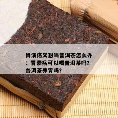 胃溃疡又想喝普洱茶怎么办：胃溃疡可以喝普洱茶吗？普洱茶养胃吗？