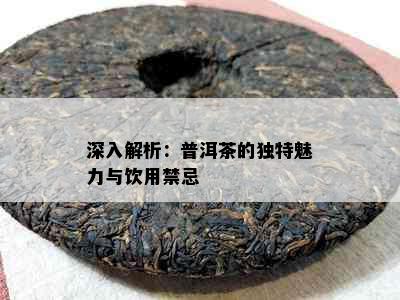 深入解析：普洱茶的独特魅力与饮用禁忌