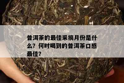 普洱茶的更佳采摘月份是什么？何时喝到的普洱茶口感更佳？