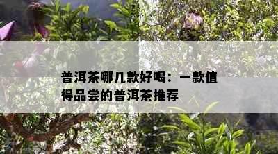 普洱茶哪几款好喝：一款值得品尝的普洱茶推荐