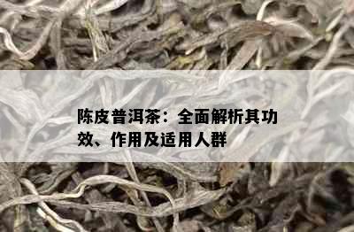 陈皮普洱茶：全面解析其功效、作用及适用人群