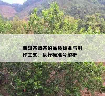 普洱茶熟茶的品质标准与制作工艺：执行标准号解析