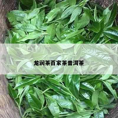 龙润茶百家茶普洱茶