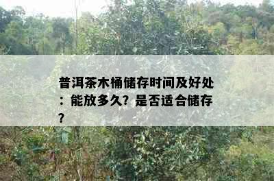 普洱茶木桶储存时间及好处：能放多久？是否适合储存？