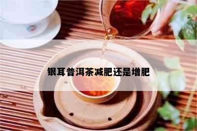 银耳普洱茶减肥还是增肥