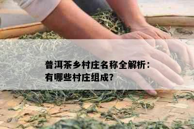 普洱茶乡村庄名称全解析：有哪些村庄组成？