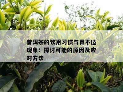 普洱茶的饮用习惯与胃不适现象：探讨可能的原因及应对方法