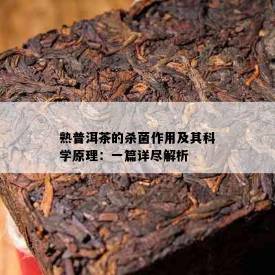 熟普洱茶的杀菌作用及其科学原理：一篇详尽解析