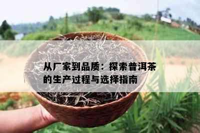 从厂家到品质：探索普洱茶的生产过程与选择指南