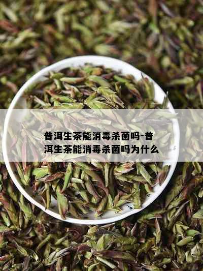 普洱生茶能消杀菌吗-普洱生茶能消杀菌吗为什么