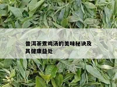 普洱茶煮鸡汤的美味秘诀及其健康益处