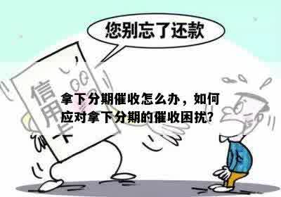 拿下分期催收怎么办，如何应对拿下分期的催收困扰？