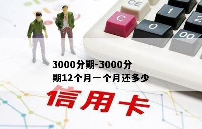 3000分期-3000分期12个月一个月还多少