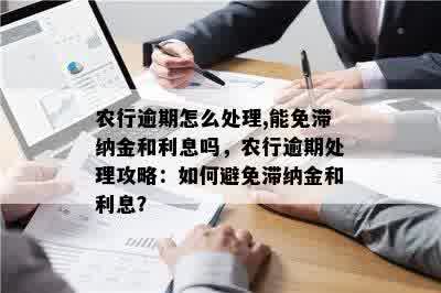 农行逾期怎么处理,能免滞纳金和利息吗，农行逾期处理攻略：如何避免滞纳金和利息？