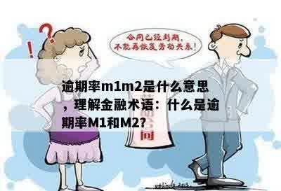 逾期率m1m2是什么意思，理解金融术语：什么是逾期率M1和M2？