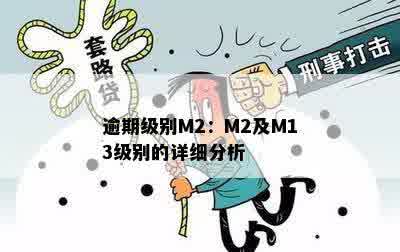 逾期级别M2：M2及M13级别的详细分析