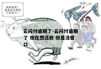 云闪付逾期了-云闪付逾期了 现在想还款 但是没窗口