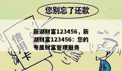 新湖财富123456，新湖财富123456：您的专属财富管理服务