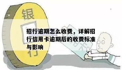 招行逾期怎么收费，详解招行信用卡逾期后的收费标准与影响