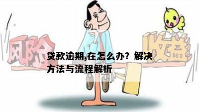 贷款逾期,在怎么办？解决方法与流程解析