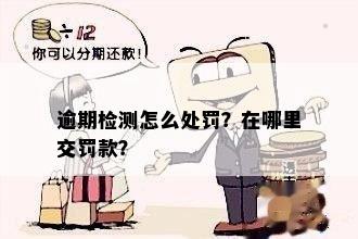 逾期检测怎么处罚？在哪里交罚款？