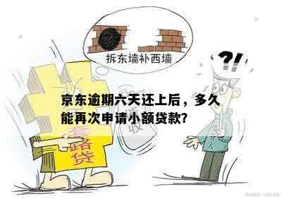 京东逾期六天还上后，多久能再次申请小额贷款？