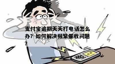 支付宝逾期天天打电话怎么办？如何解决频繁催收问题？