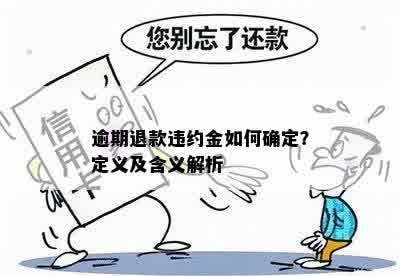 逾期退款违约金如何确定？定义及含义解析