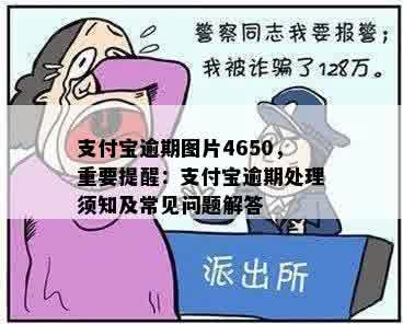 支付宝逾期图片4650，重要提醒：支付宝逾期处理须知及常见问题解答