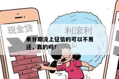 来分期没上征信的可以不用还，真的吗？