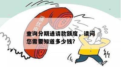 查询分期通请款额度，请问您需要知道多少钱？