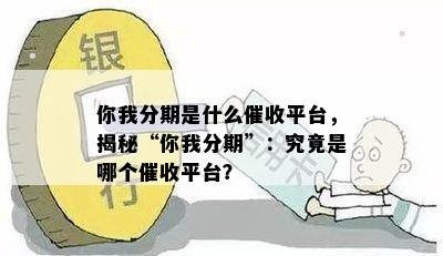 你我分期是什么催收平台，揭秘“你我分期”：究竟是哪个催收平台？