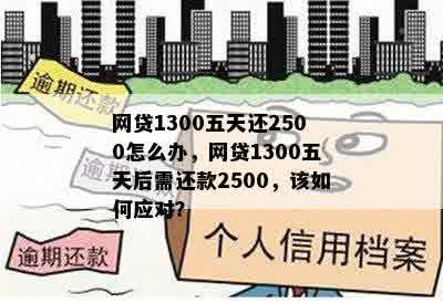 网贷1300五天还2500怎么办，网贷1300五天后需还款2500，该如何应对？