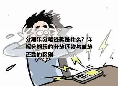 分期乐分笔还款是什么？详解分期乐的分笔还款与单笔还款的区别