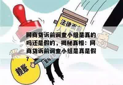 网商贷诉前调查小组是真的吗还是假的，揭秘真相：网商贷诉前调查小组是真是假？