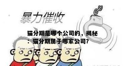 猫分期是哪个公司的，揭秘：猫分期属于哪家公司？