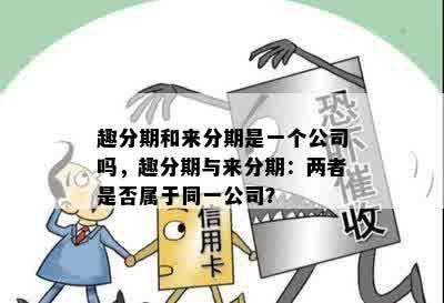 趣分期和来分期是一个公司吗，趣分期与来分期：两者是否属于同一公司？