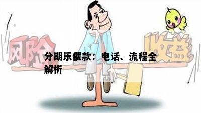 分期乐催款：电话、流程全解析