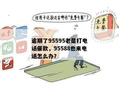 逾期了95595老是打电话催款，95588也来电话怎么办？