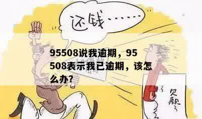 95508说我逾期，95508表示我已逾期，该怎么办？