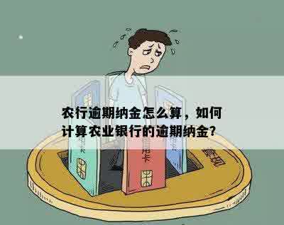 农行逾期纳金怎么算，如何计算农业银行的逾期纳金？