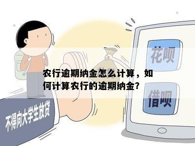 农行逾期纳金怎么计算，如何计算农行的逾期纳金？