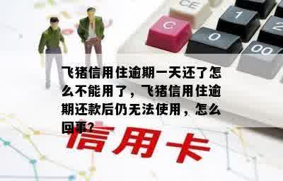 飞猪信用住逾期一天还了怎么不能用了，飞猪信用住逾期还款后仍无法使用，怎么回事？