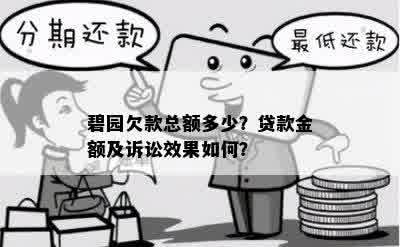 碧园欠款总额多少？贷款金额及诉讼效果如何？