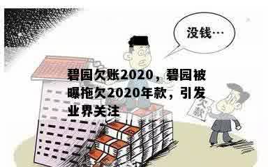 碧园欠账2020，碧园被曝拖欠2020年款，引发业界关注