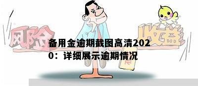 备用金逾期截图高清2020：详细展示逾期情况